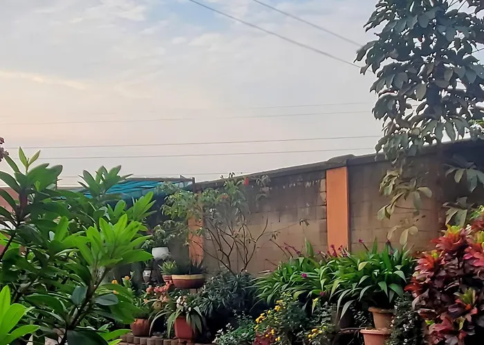 Orchid Gardens; Studio Apartment, Minimalist