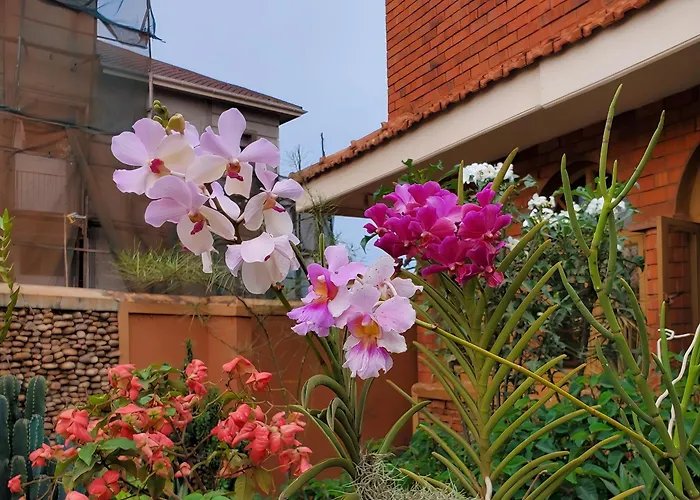 Orchid Gardens; Studio Apartment, Minimalist