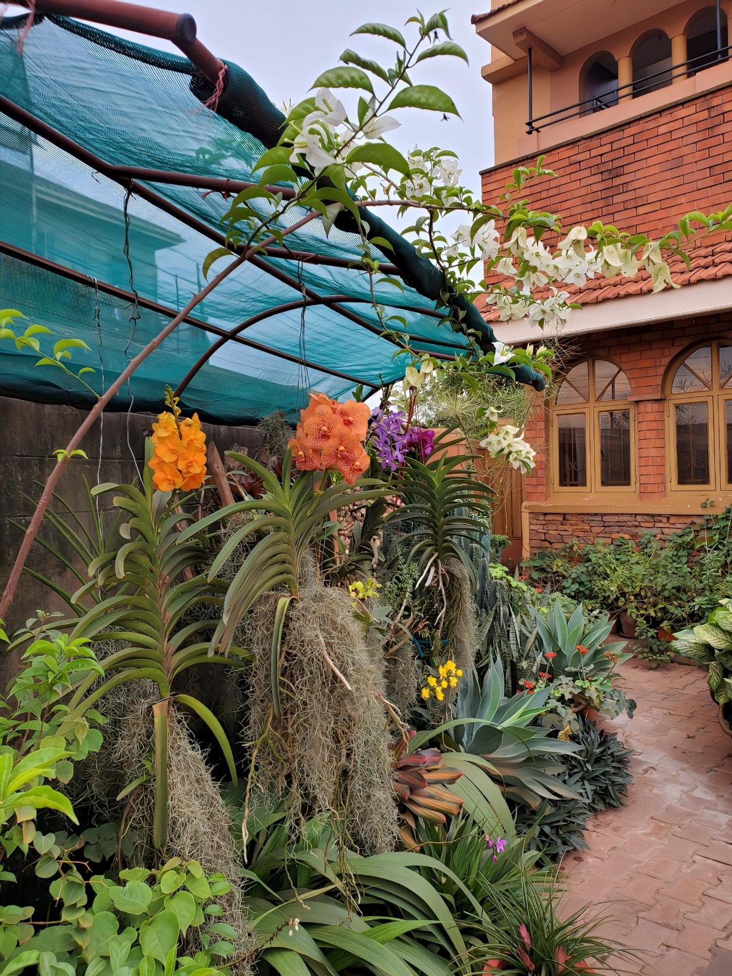 Orchid Gardens; Apartment, Minimalist