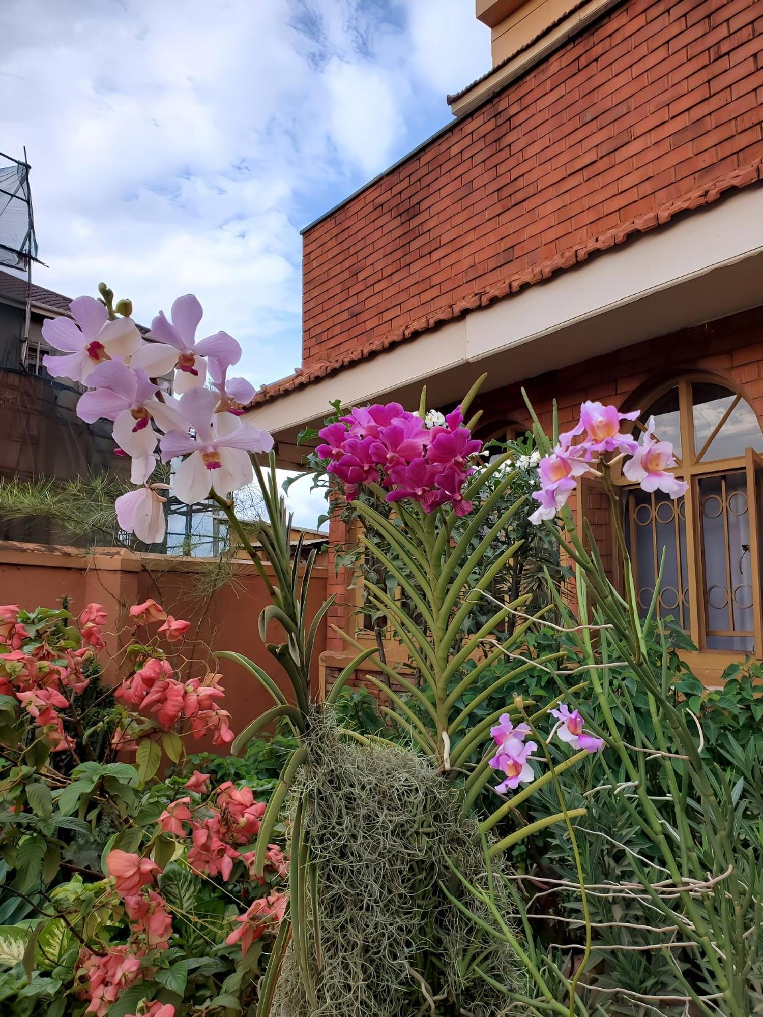 Orchid Gardens; Apartment, Minimalist Kampala