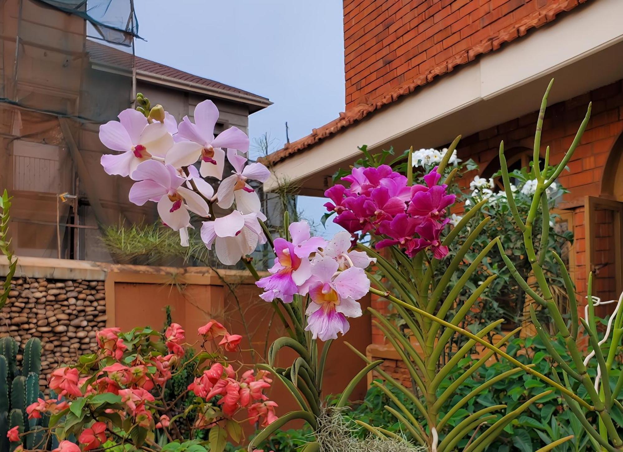 Orchid Gardens; Apartment, Minimalist Kampala